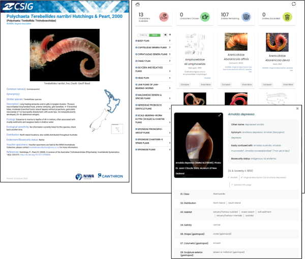 Screenshots of C-SIG Species key tool showing information page layout for different species with taxonomic and ecological data, images, and maps 