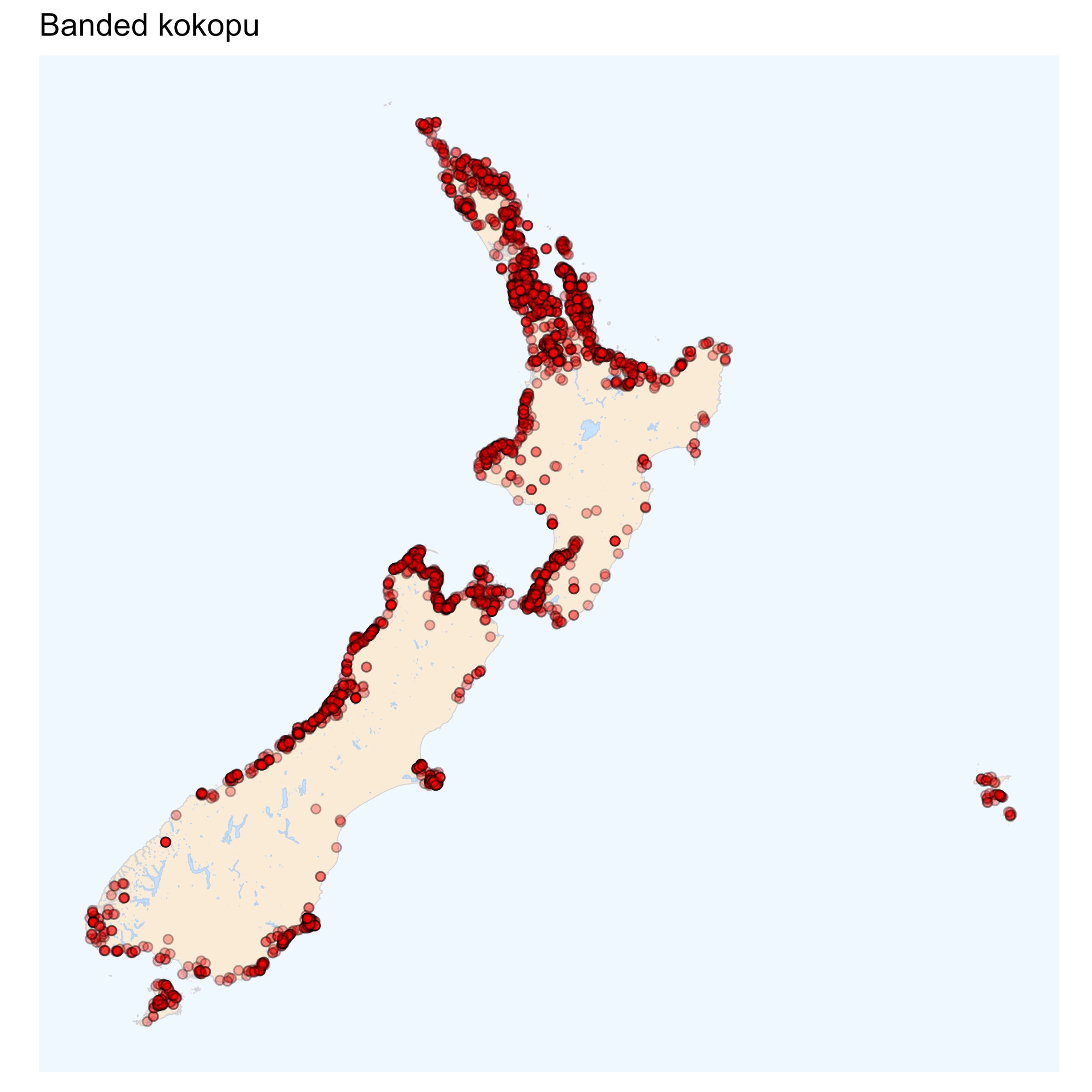Banded kokopu - distribution maps
