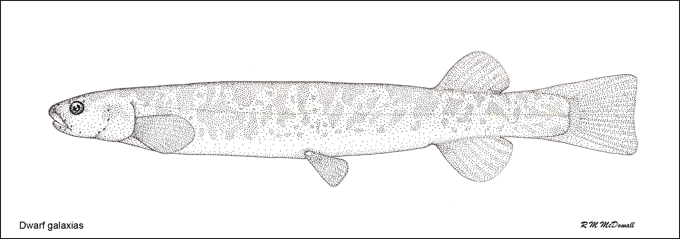 Dwarf Galaxias