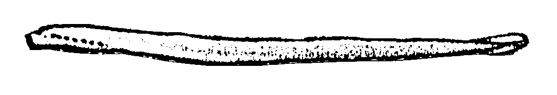 Fish Finder : lamprey.gif