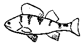 Fish Finder : perch.gif