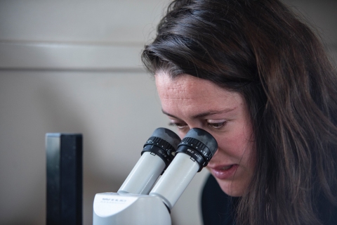 2019 10 GLASS EELS Parsons King Lr