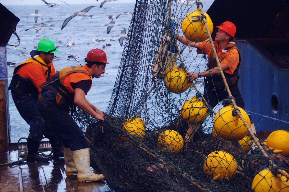 Image of trawl onboard RV Tangaroa.