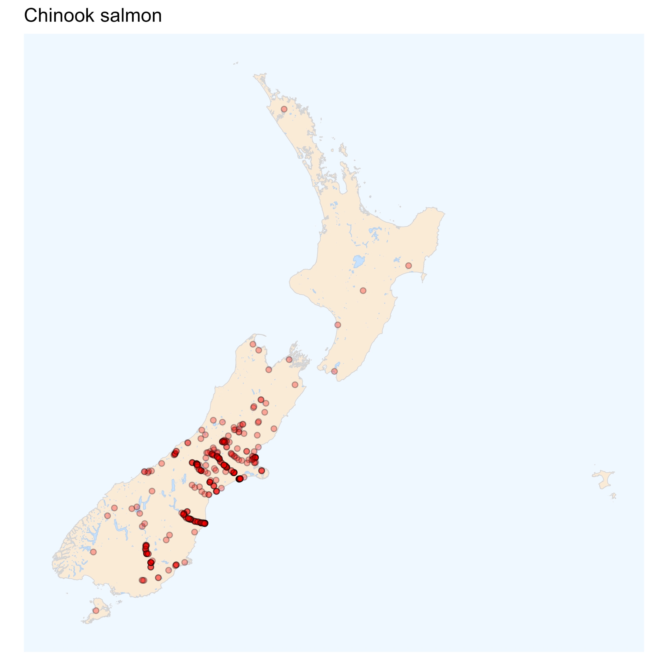 Chinook salmon - distribution map [2024]