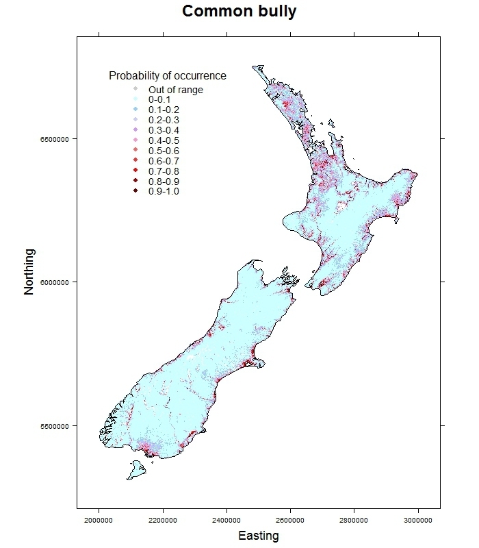 Common_bully_Gobiomorphus cotidianus_distribution_predicted