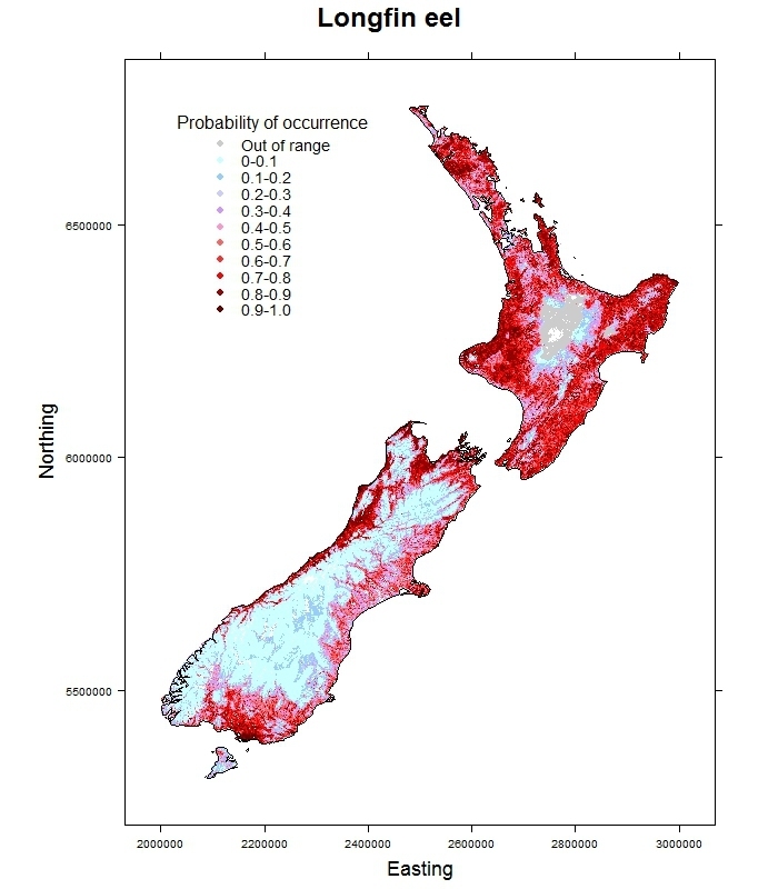 Longfin-eel-Anguilla dieffenbachii_distribution_predicted