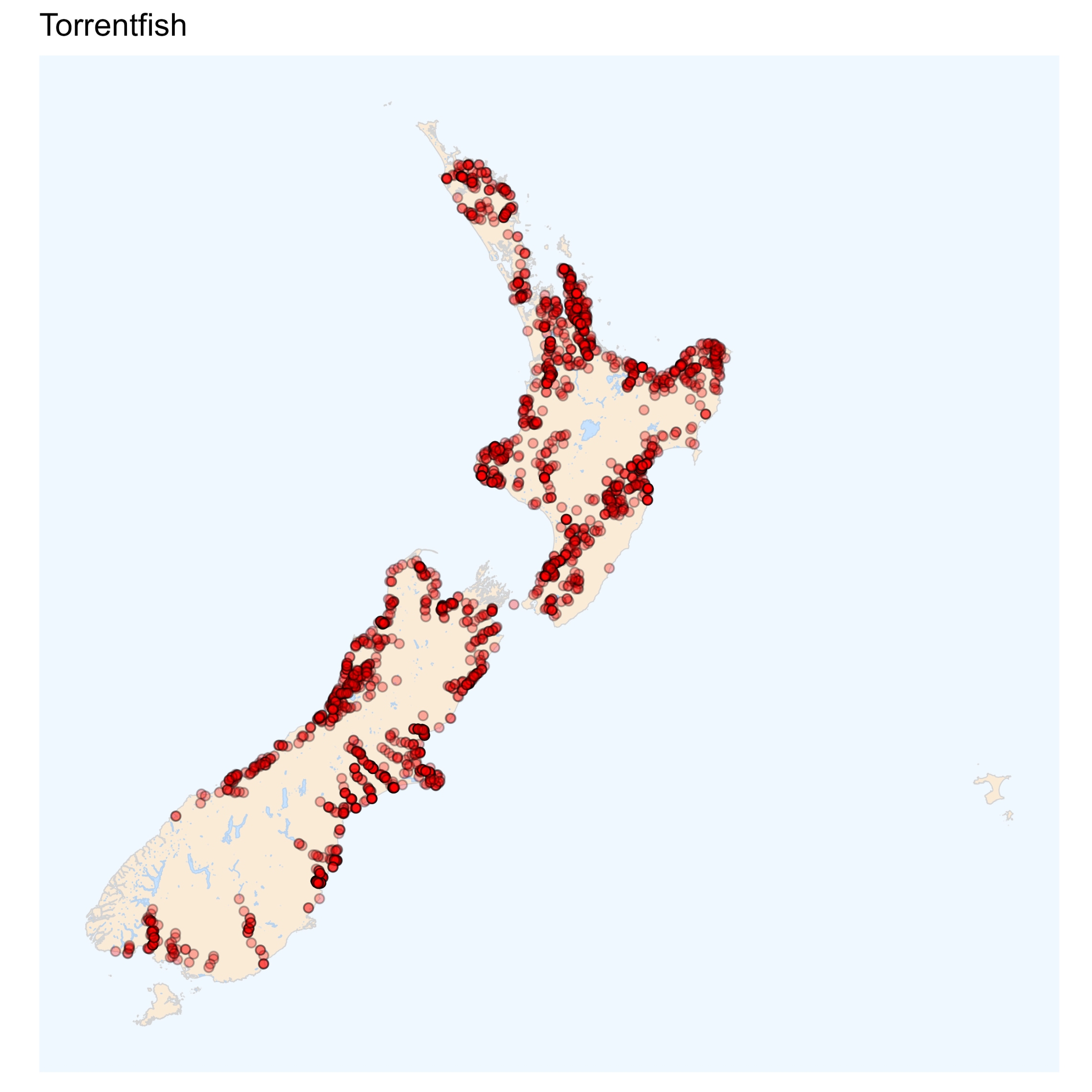 Torrentfish distribution map [2024]