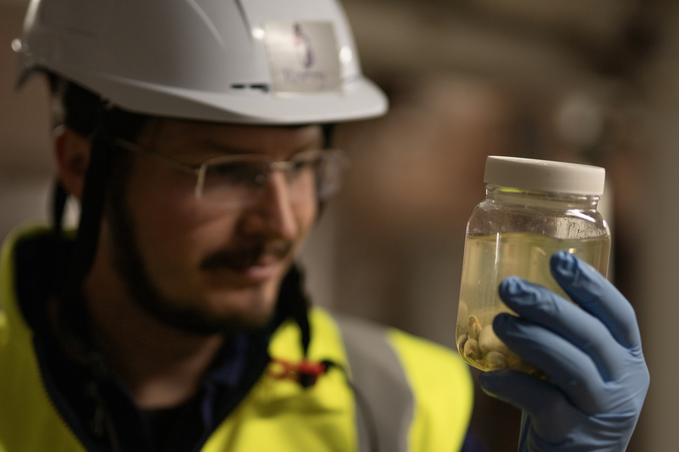 Taxonomist looking at deep-sea specimens in a bottle.