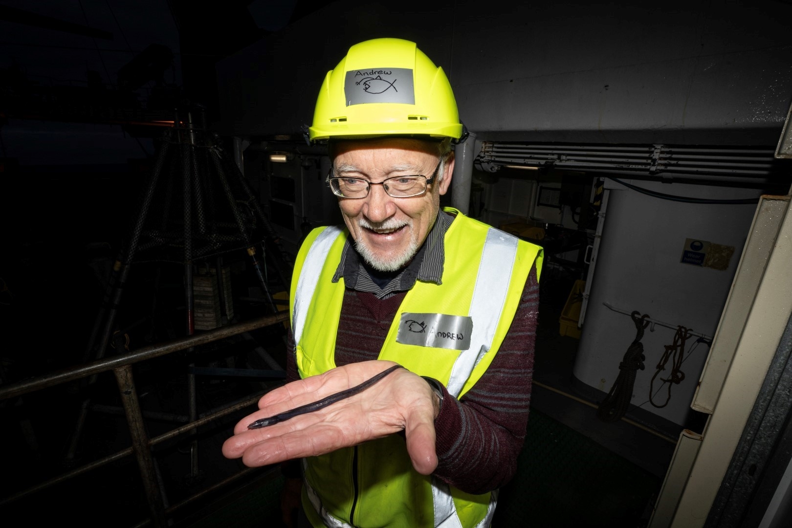 Grinning scientist, wearing ship PPE, holding up in his palm a slimy, slender, potential new species of eelpout.