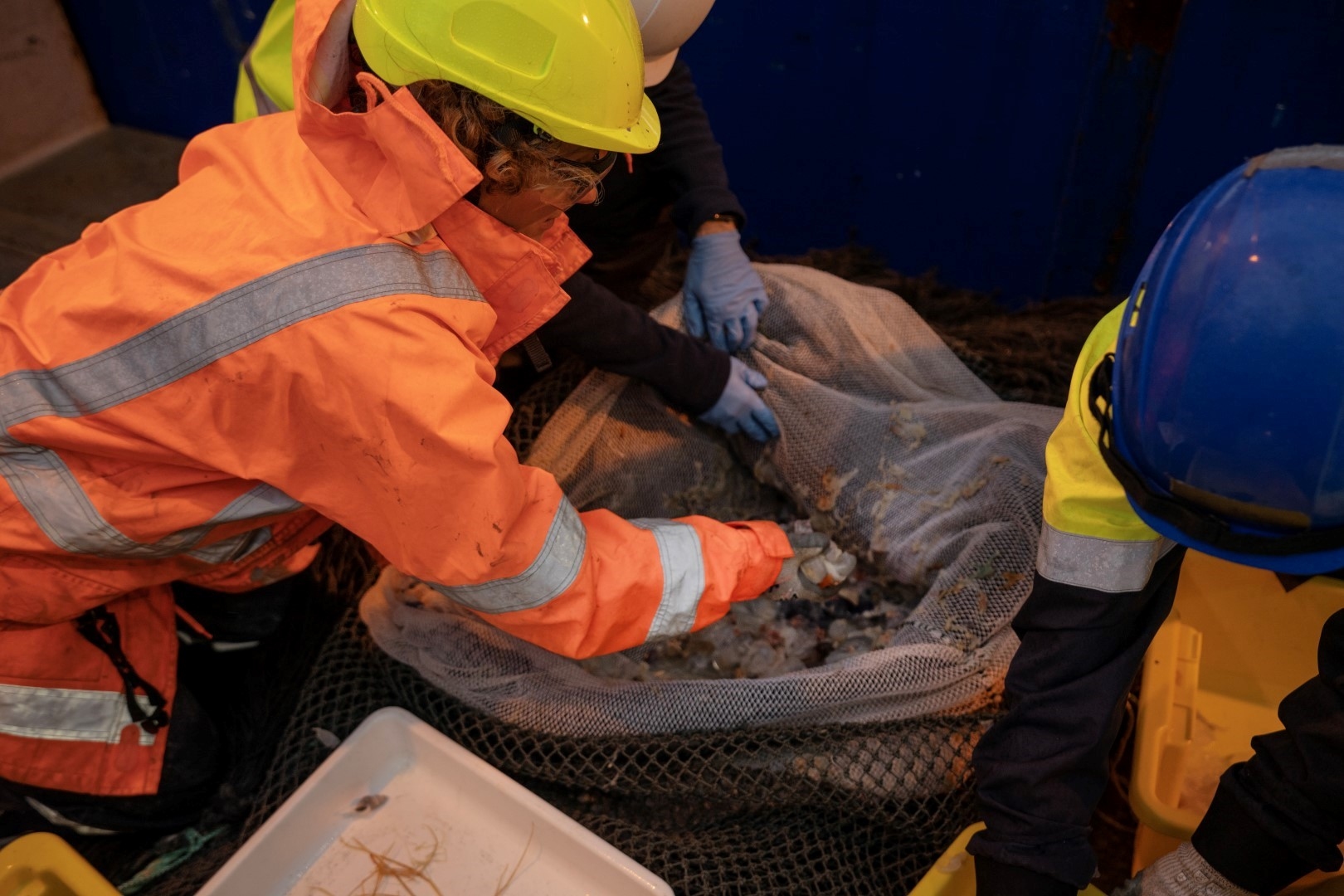 Scientist in full protective gear sorting through a hauled in net of marine samples.